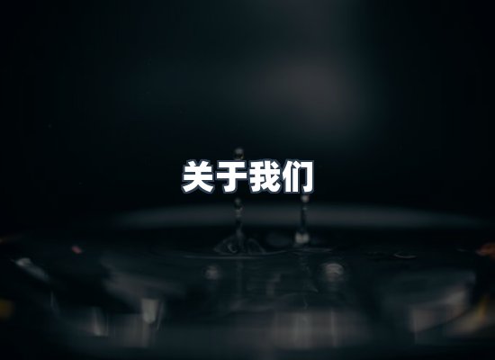专业团队