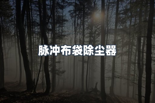 脉冲布袋除尘器